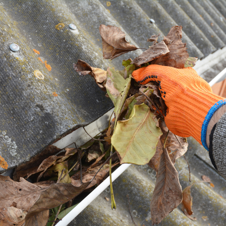 Gutter Cleaning in Farmington Hills, Michigan Gutter Cleaning in Farmington Hills, Michigan