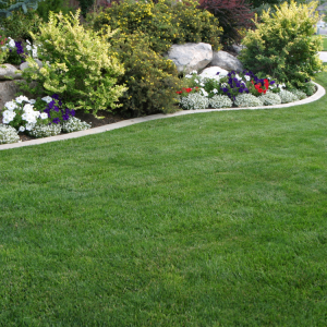 Landscaping in Farmington Hills, Michigan