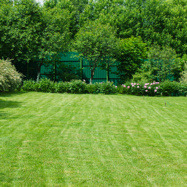 Landscaper in Bloomfield Hills, Michigan Landscaper in Bloomfield Hills, Michigan
