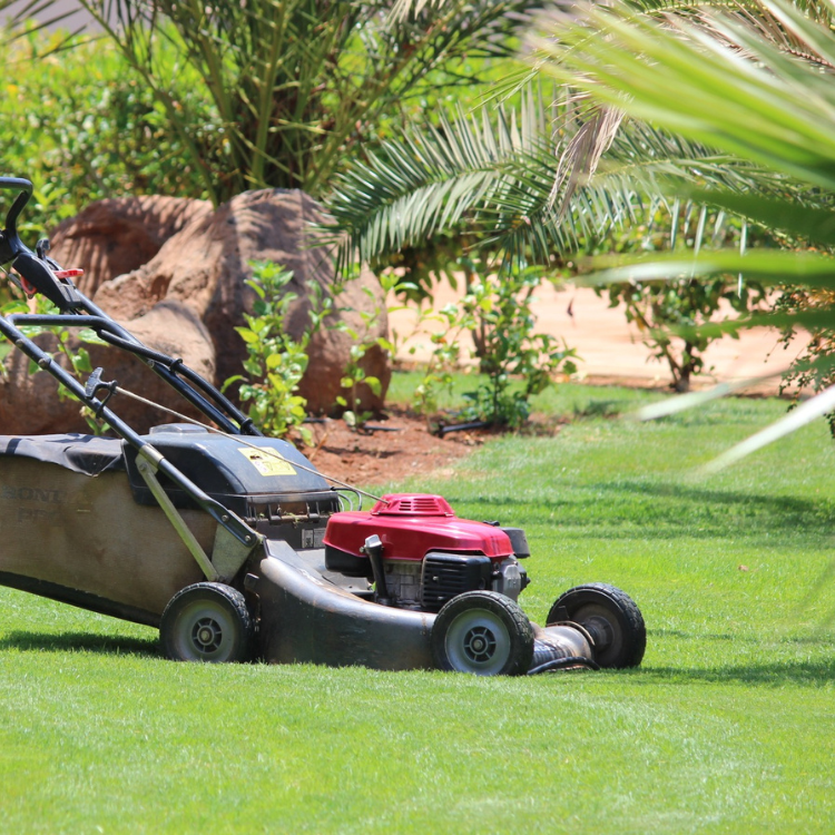 Landscaper in Bloomfield Hills, Michigan Landscaper in Bloomfield Hills, Michigan