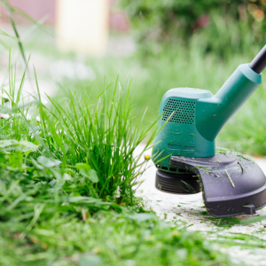Landscaper in Farmington Hills, Michigan
